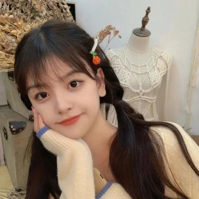 职业特工队2